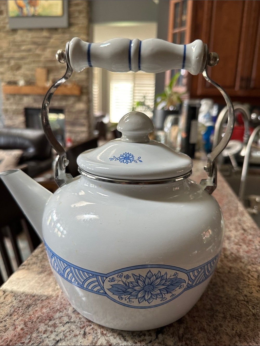 Vintage Classic White and Blue Enamelled Teapot with Ceramic Handle